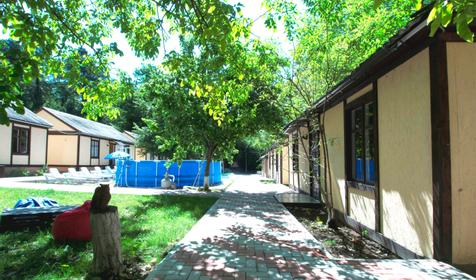 Сосновый бор