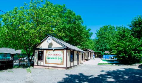 Сосновый бор