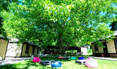 Сосновый бор