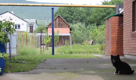 Гостевой дом Светлана, г. Новороссийск, п. Южная Озереевка