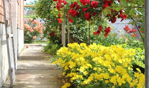 Гостевой дом Светлана, г. Новороссийск, п. Южная Озереевка