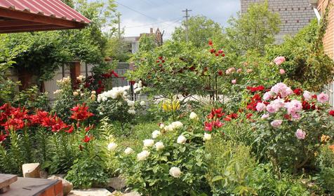 Гостевой дом Светлана, г. Новороссийск, п. Южная Озереевка