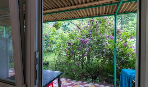 Трехместный стандарт. Гостевой дом Green House, Туапсе, Пляхо