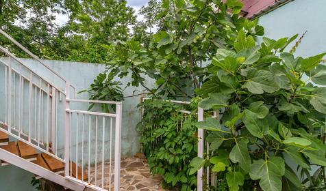 Гостевой дом Гномик, г. Туапсе, с. Агой