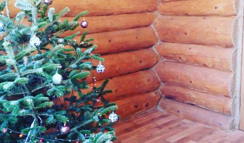 Номер 4-комнатный в срубе