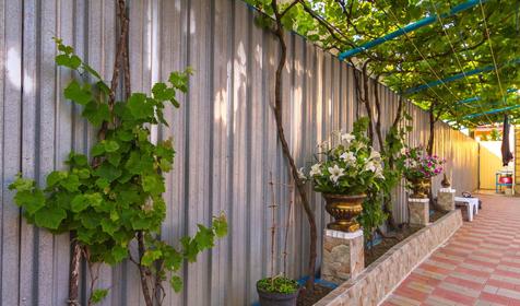 Гостевой дом У Радика, Туапсе, Джубга