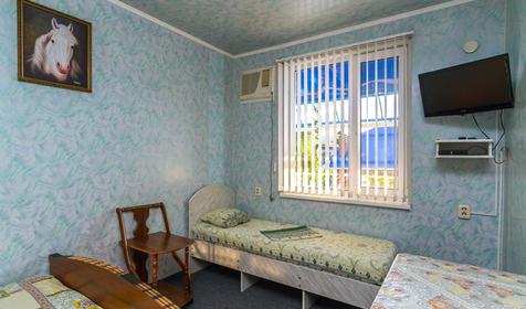 Трехместный полулюкс. Гостевой дом У Радика, Туапсе, Джубга