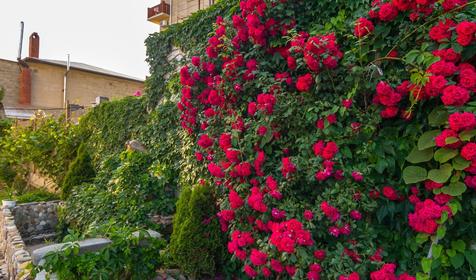 Отель Аркадия, Туапсинский район, п. Джубга