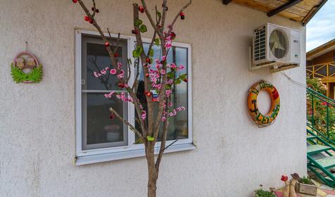 Гостевой дом У двух сестер, ст. Голубицкая