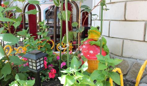 Солнечная дача