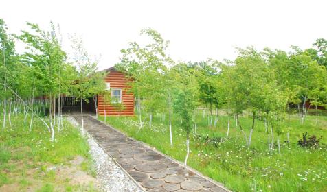 Стандарт плюс №8