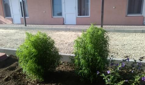 На Жемчужной