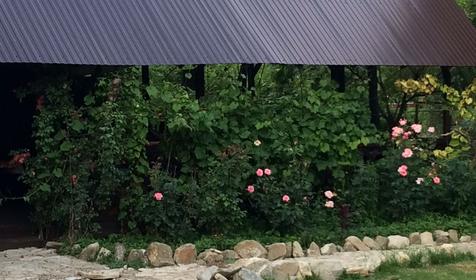 Тагил, корпус 1