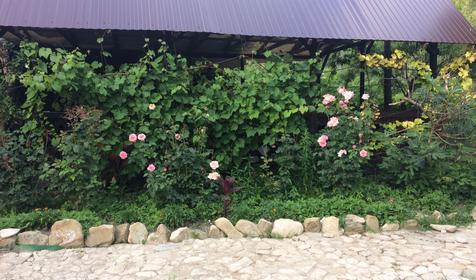 Тагил, корпус 1