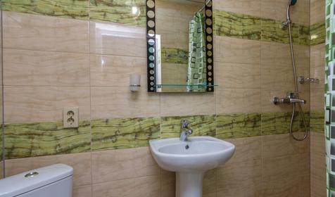 Комфорт трехместный. Гостевой дом Зеленая дача, Геленджик, Прасковеевка