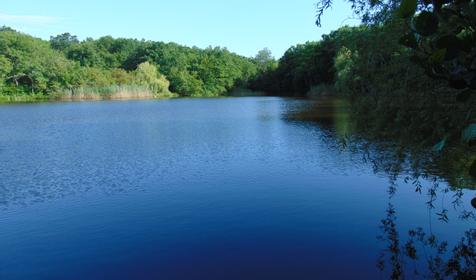Гостевой дом У Макса, Северский район, Тхамаха