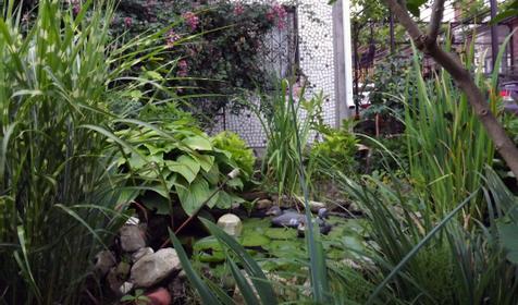 Частный дом по ул. Яблоневая, Геленджик, Архипо-Осиповка