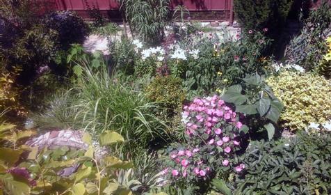 Частный дом по ул. Яблоневая, Геленджик, Архипо-Осиповка