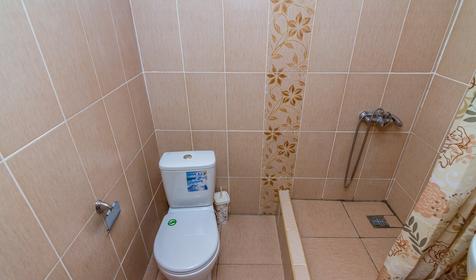 Стандарт четырехместный без балкона. Гостиница Дельфин, г. Анапа, п. Витязево