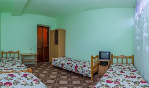 Эконом четырехместный, цоколь. Гостиница Дельфин, г. Анапа, п. Витязево
