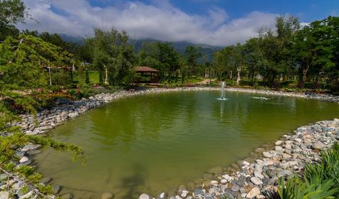 Андреевский парк. Геленджик. Краснодарский край