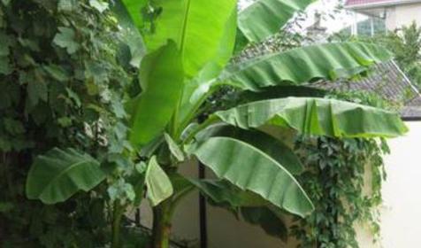 На Северной