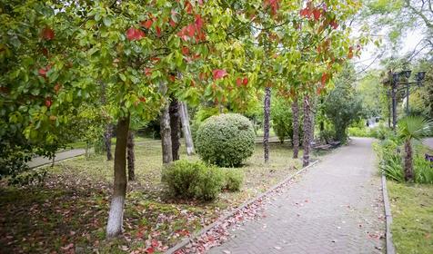 Санаторий Известия, Адлер