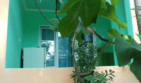 Дом под ключ