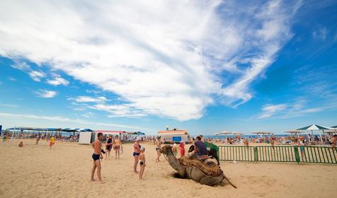 Пансионат Одиссея, г. Анапа