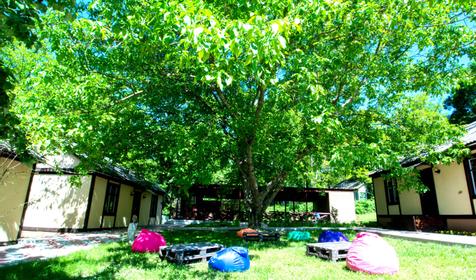 База отдыха Сосновый бор, Геленджик, Архипо-Осиповка