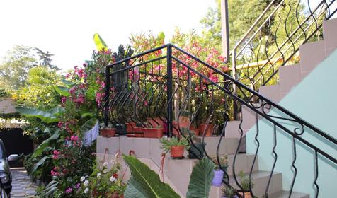 Гостевой дом Звездочка, г. Сочи, п. Лоо