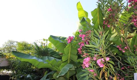 Гостевой дом Звездочка, г. Сочи, п. Лоо