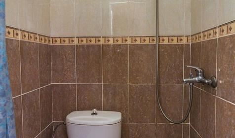 Двухместный стандарт. Гостевой дом Волгарь, Сочи, Лоо