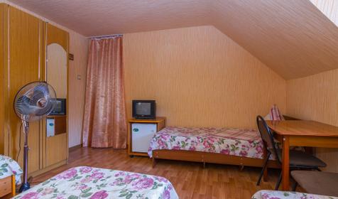 Эконом. Гостевой дом Александра, Сочи, Адлер