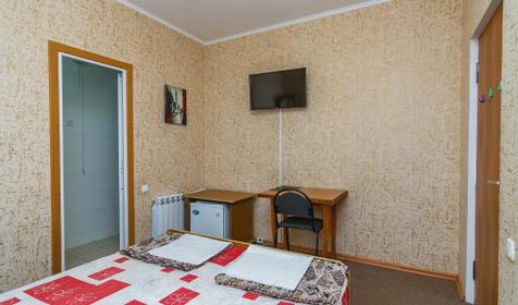 Номер с кондиционером. Гостевой дом Альбатрос, г. Сочи, Адлер