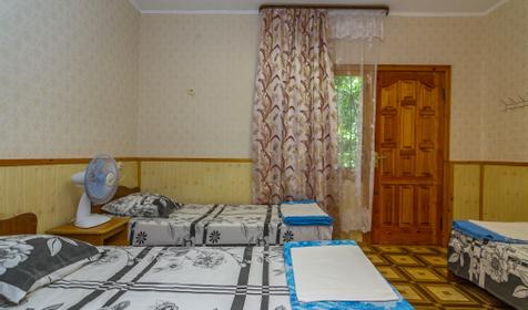 Номер без кондиционера. Гостевой дом Альбатрос, г. Сочи, Адлер