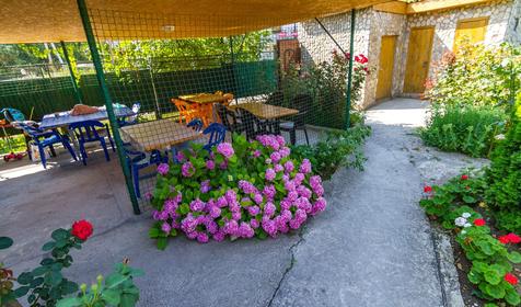 Гостевой дом Кедр, Туапсе, Ольгинка