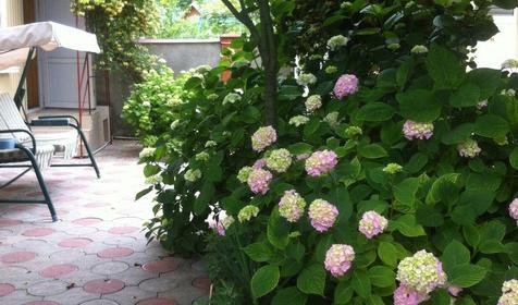 Гостевой дом Уют, Туапсинский район, Новомихайловский