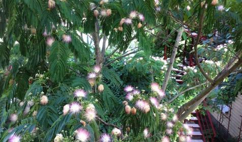 Гостевой дом Уют, Туапсинский район, Новомихайловский