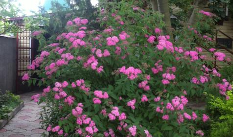 Гостевой дом Уют, Туапсинский район, Новомихайловский