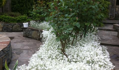 Гостевой дом Уют, Туапсинский район, Новомихайловский