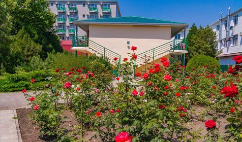 Пансионат Одиссея, г. Анапа