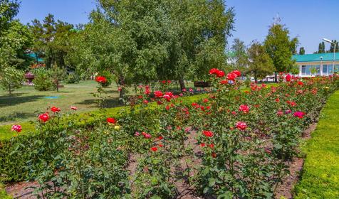 Пансионат Одиссея, г. Анапа