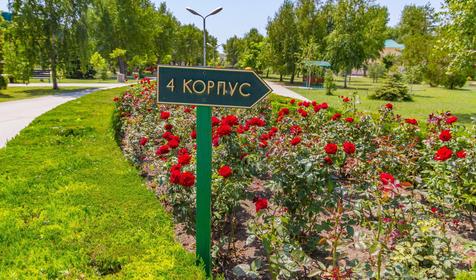 Пансионат Одиссея, г. Анапа