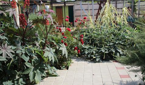 Гостевой дом Дарья, г. Анапа, ст. Благовещенская