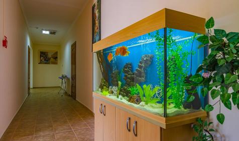 Гостиница Элита, Туапсинский район, п. Новомихайловский