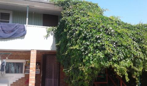 хосте На Должанке