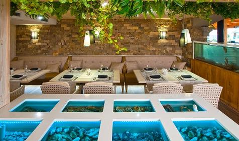  Ресторан Камелот, г. Краснодар