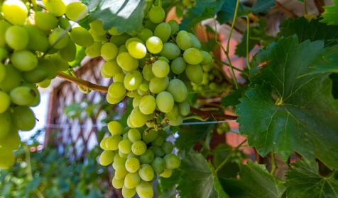 Гостиный дворик на Азовской, Ейский район, ст. Должанская