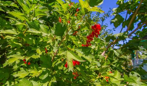 Частный дом "На Гоголя, 15"